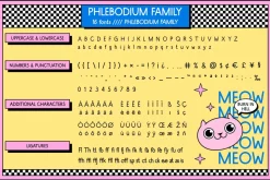 Phlebodium sans serif font 80s 90s