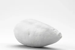 Photorealistic Sweet Potato