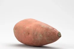 Photorealistic Sweet Potato