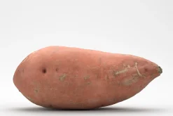 Photorealistic Sweet Potato