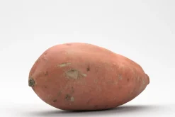 Photorealistic Sweet Potato