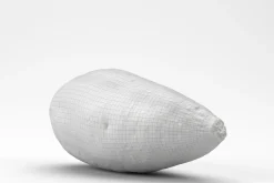 Photorealistic Sweet Potato