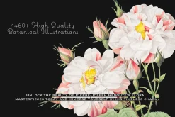 1000+ Pierre-Joseph Redoute Flowers
