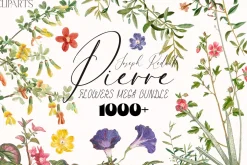 1000+ Pierre-Joseph Redoute Flowers