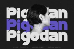 Pigodan - Condensed Font