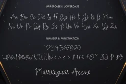 Pilot Signature Font