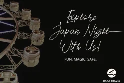 Pilot Signature Font