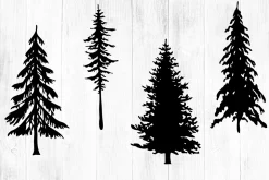 15 Pine Trees Silhouettes