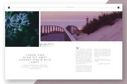Pink Flower - Magazine Template