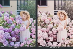 20 Pink Macaroon LR Presets