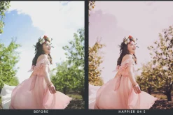 20 Pink Macaroon LR Presets