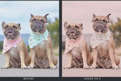 20 Pink Macaroon LR Presets