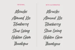 Pinky Vanilla - Handwritten Font