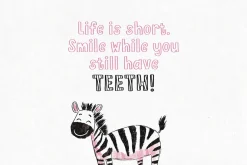 Pink Zebra Quirky Four-Font Family