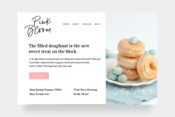 Pinot Handwritten Font & Logos