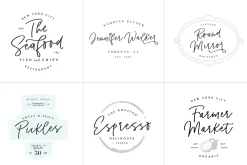 Pinot Handwritten Font & Logos