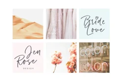 Pinot Handwritten Font & Logos