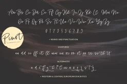 Pinot Handwritten Font & Logos