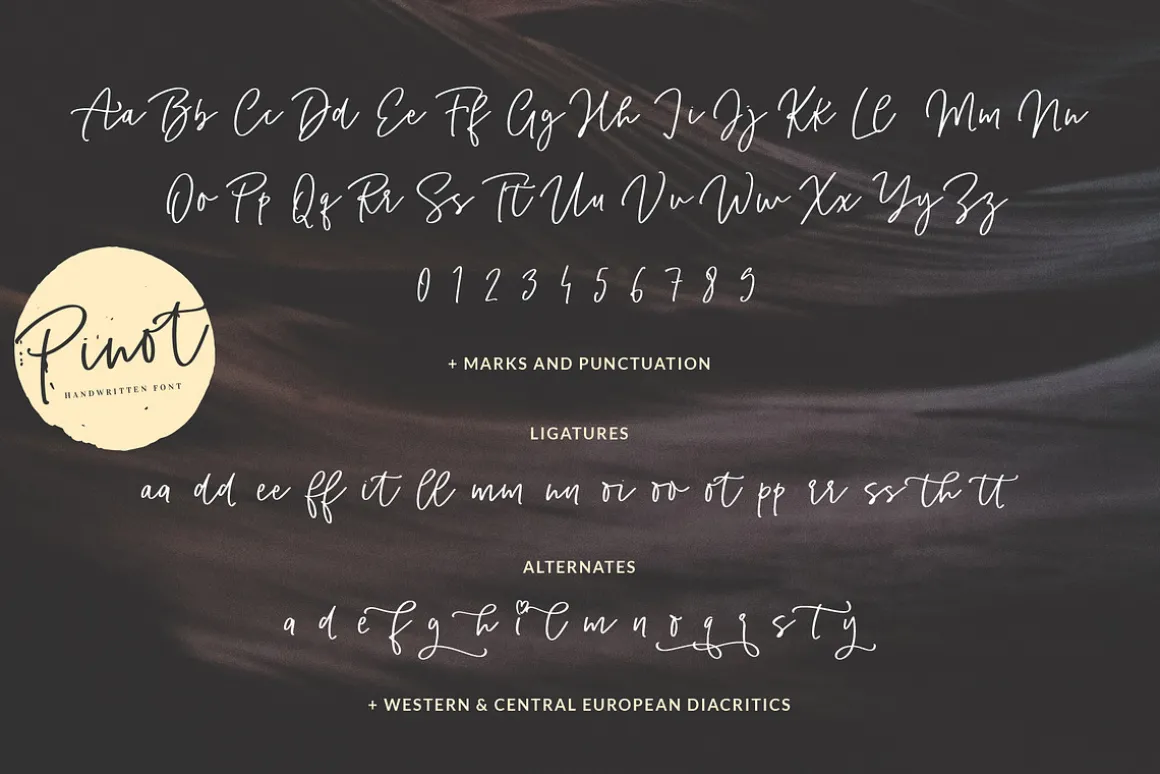 Pinot Handwritten Font & Logos