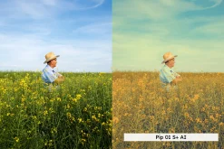 20 Playful Pastel Lightroom Presets