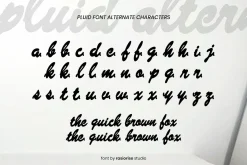 Pluid a Script Font