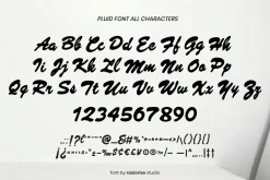 Pluid a Script Font