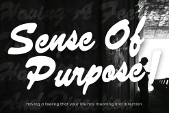 Pluid a Script Font