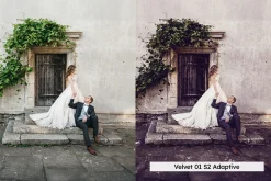 20 Plum Royale Lightroom Presets and