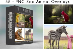 47 - PNG - ZOO ANIMALS