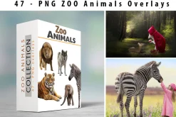 47 - PNG - ZOO ANIMALS