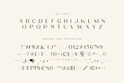 Poina - Beauty Ligature Font