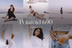 Polaroid 690 — Lightroom