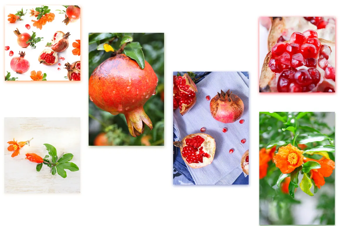 Pomegranate. PhotoSet