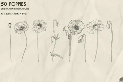 Poppies line art + Procreate
