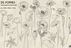 Poppies line art + Procreate