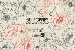 Poppies line art + Procreate