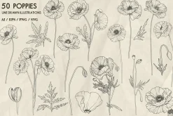 Poppies line art + Procreate