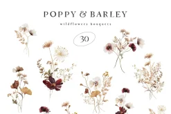 POPPY & BARLEY Autumn Wildflowers