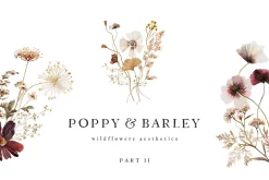 POPPY & BARLEY Autumn Wildflowers
