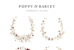 POPPY & BARLEY Autumn Wildflowers