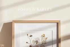 POPPY & BARLEY Autumn Wildflowers