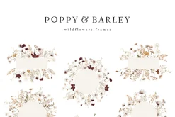 POPPY & BARLEY Autumn Wildflowers