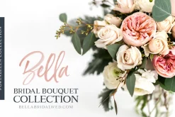 Portabella Font Collection