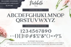Portabella Font Collection