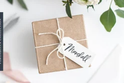 Portabella Font Collection