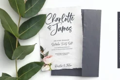 Portabella Font Collection