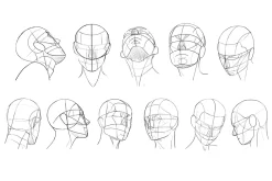 10 Portrait Guide Stamps Procreate