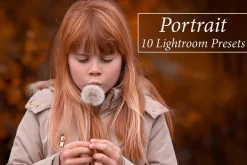 10 Portrait Lr Presets
