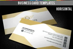 Premium Business Card - Seger Wings