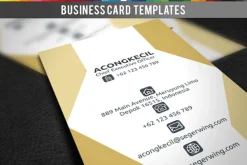 Premium Business Card - Seger Wings